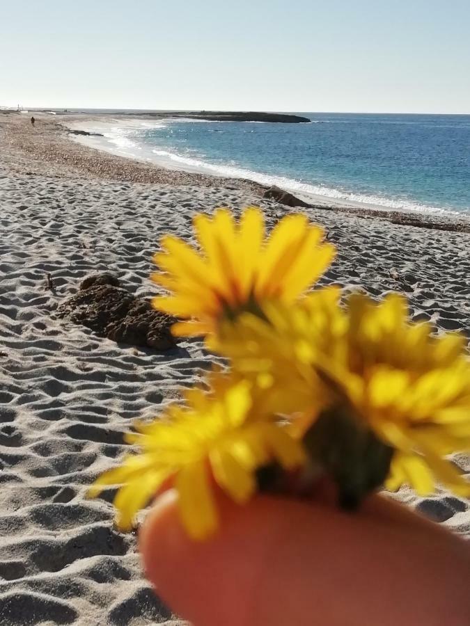 Sardinia For You Ористано Екстериор снимка